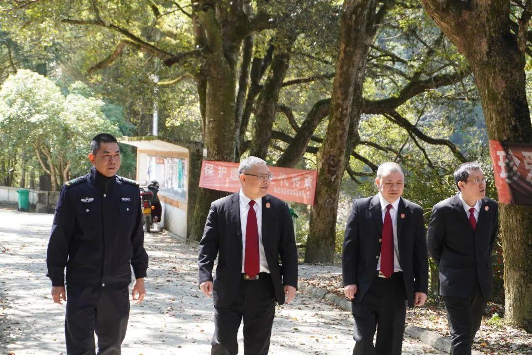 全年资料免费大全资料打开详细解答、构建解答解释落实